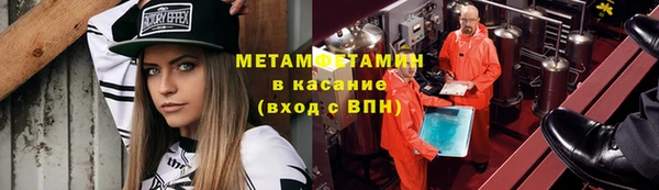 прущие грибы Бронницы