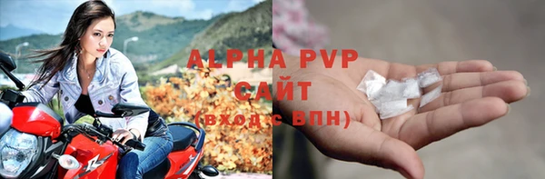 прущие грибы Бронницы