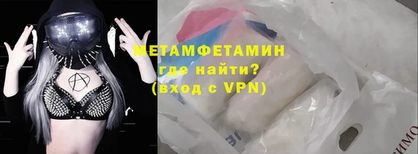 прущие грибы Бронницы
