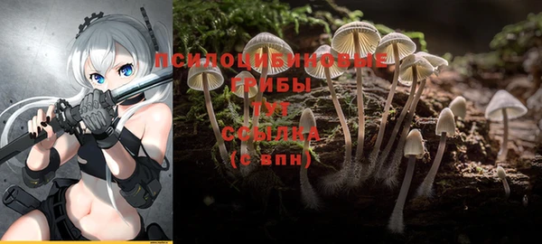 кристаллы Бородино