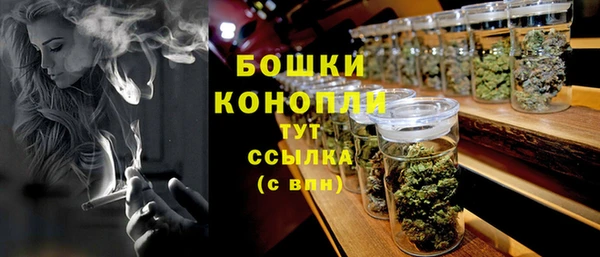 прущие грибы Бронницы